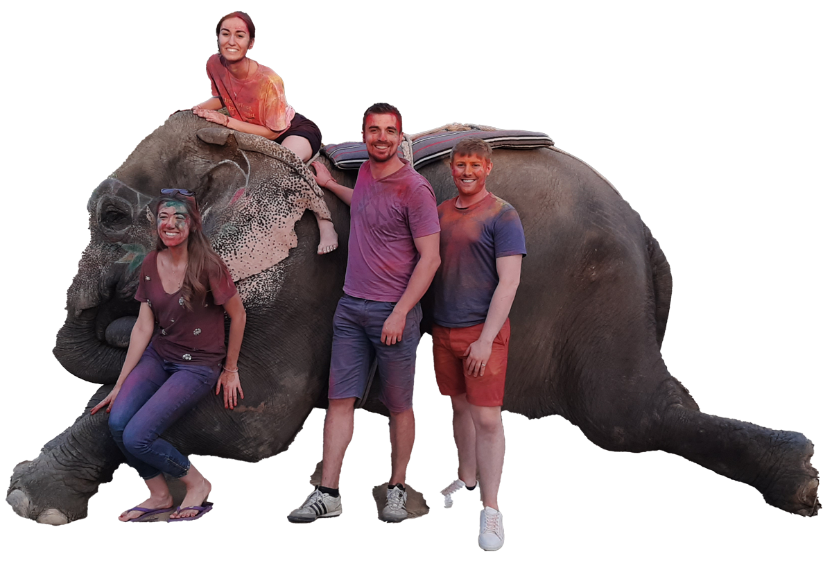 Jaipur Elephant Park Elephant Ride in Jaipur